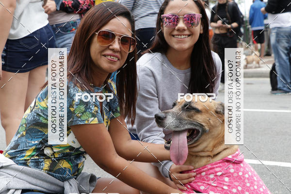Buy your photos of the event13� C�ominhada - Santos on Fotop