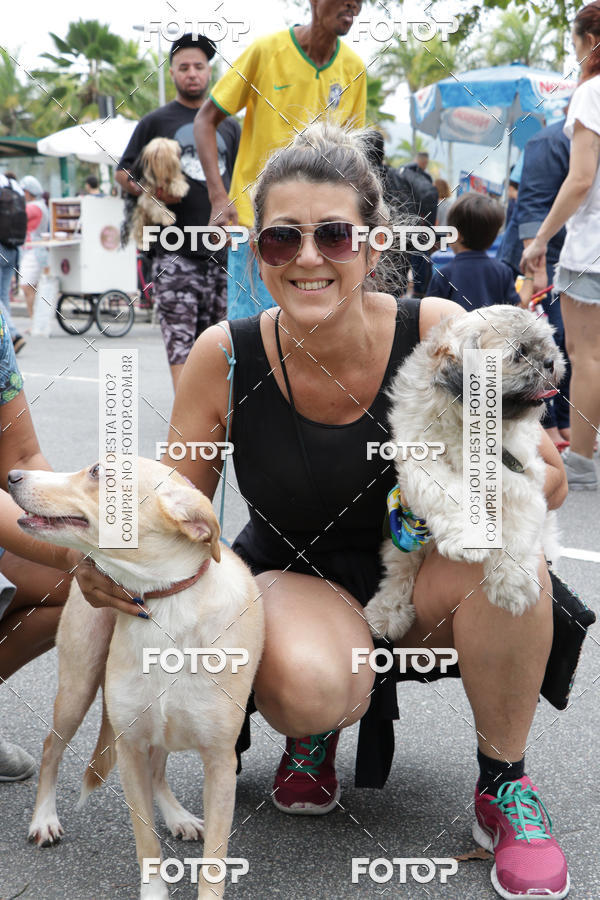 Buy your photos of the event13� C�ominhada - Santos on Fotop