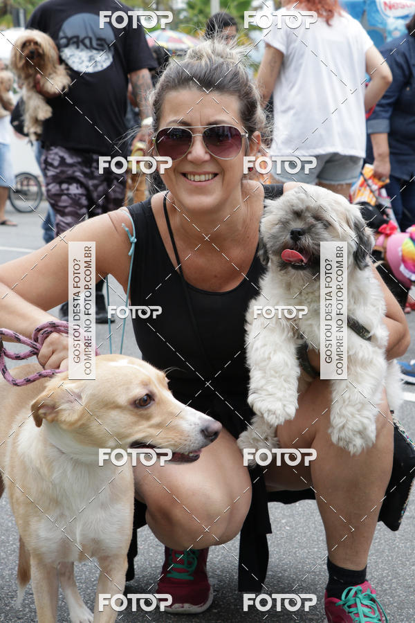 Buy your photos of the event13� C�ominhada - Santos on Fotop