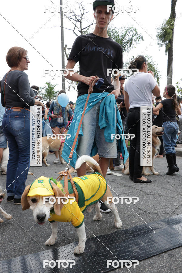 Buy your photos of the event13� C�ominhada - Santos on Fotop