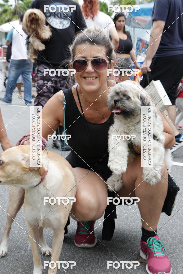 Buy your photos of the event13� C�ominhada - Santos on Fotop