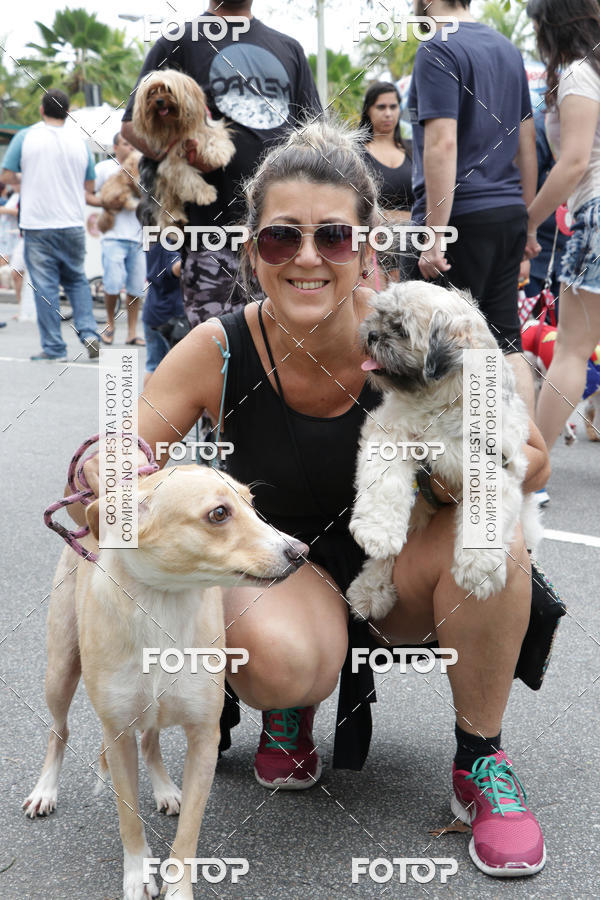 Buy your photos of the event13� C�ominhada - Santos on Fotop