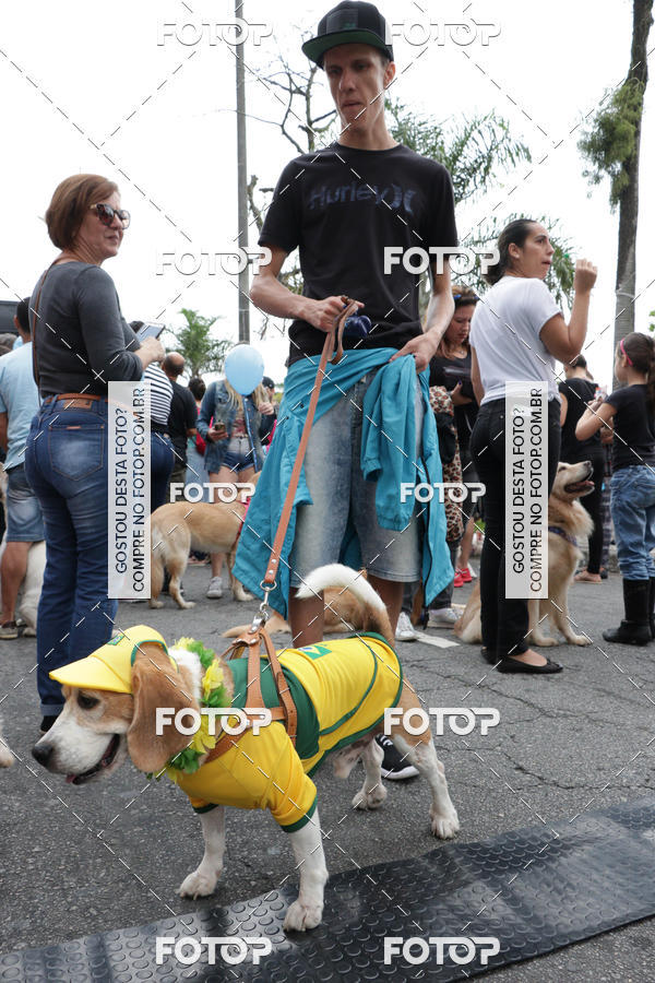 Buy your photos of the event13� C�ominhada - Santos on Fotop