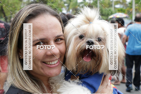 Buy your photos of the event13� C�ominhada - Santos on Fotop