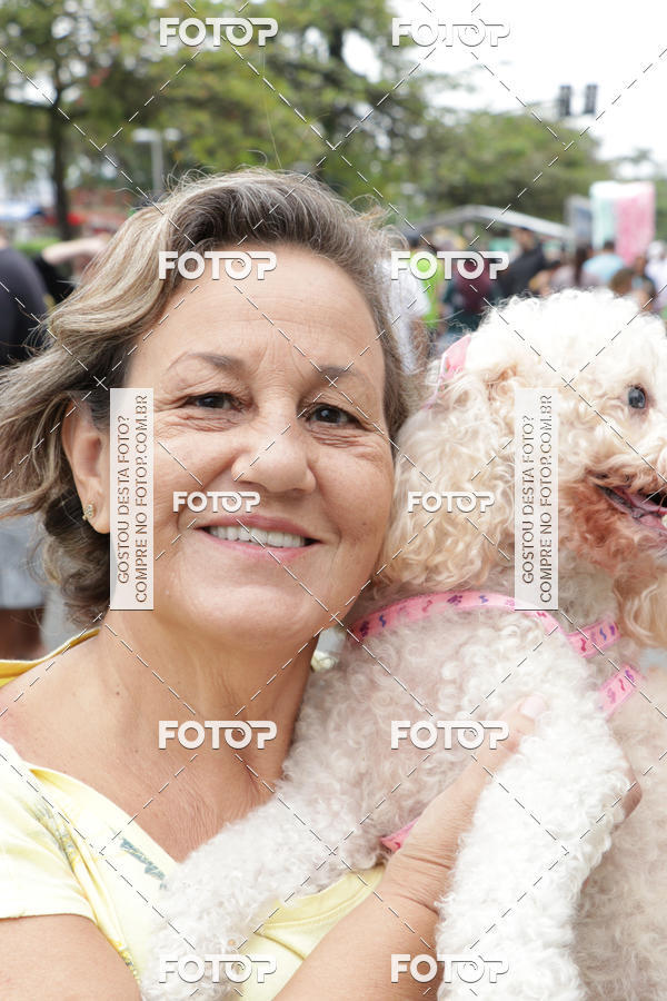 Buy your photos of the event13� C�ominhada - Santos on Fotop