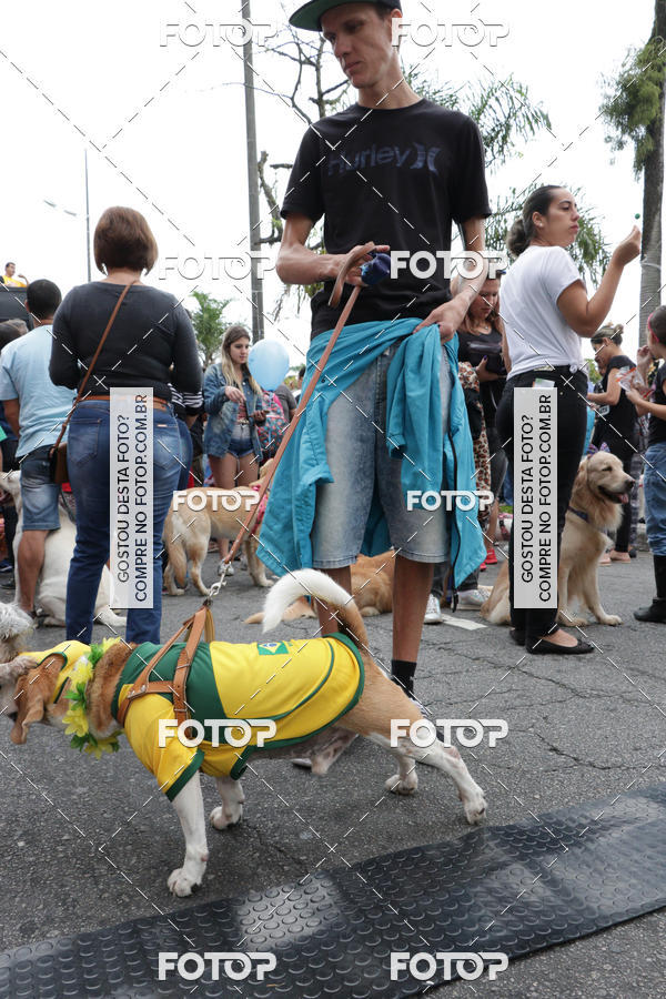 Buy your photos of the event13� C�ominhada - Santos on Fotop