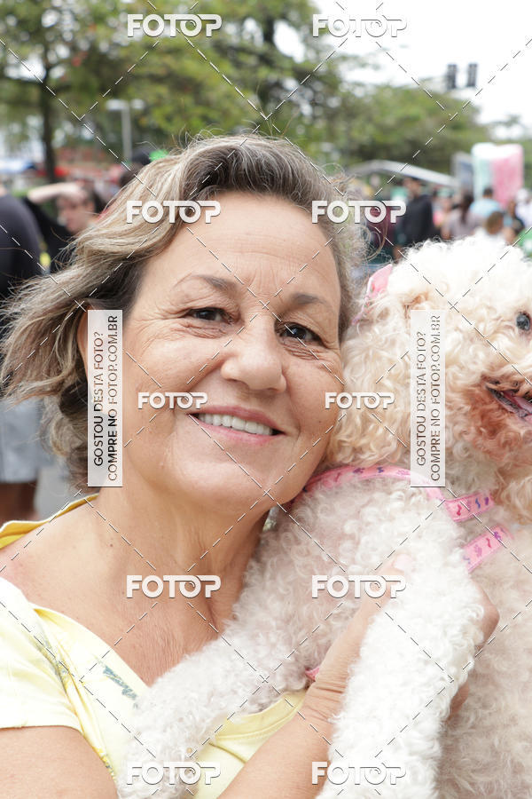 Buy your photos of the event13� C�ominhada - Santos on Fotop