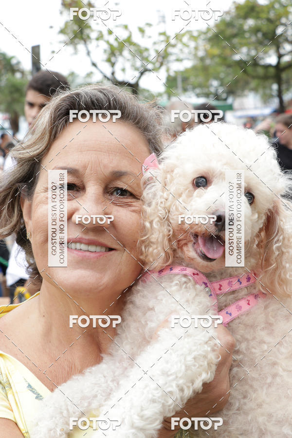 Buy your photos of the event13� C�ominhada - Santos on Fotop