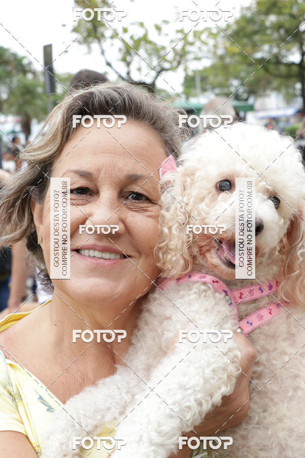Buy your photos of the event13� C�ominhada - Santos on Fotop