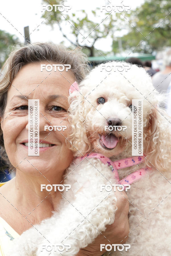 Buy your photos of the event13� C�ominhada - Santos on Fotop