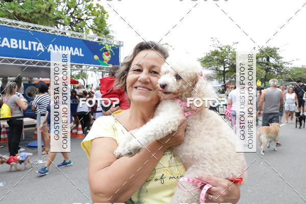 Buy your photos of the event13� C�ominhada - Santos on Fotop