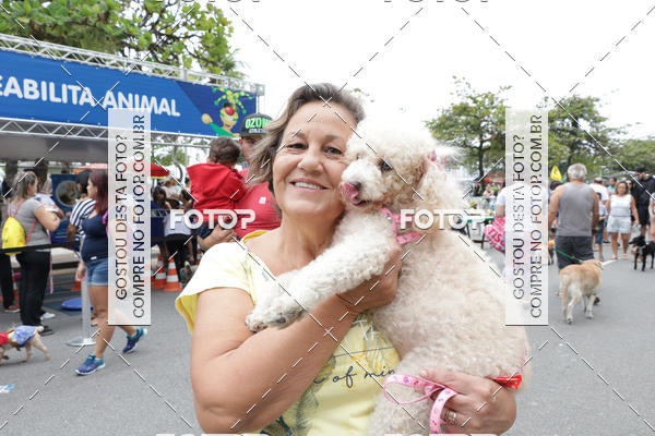 Buy your photos of the event13� C�ominhada - Santos on Fotop