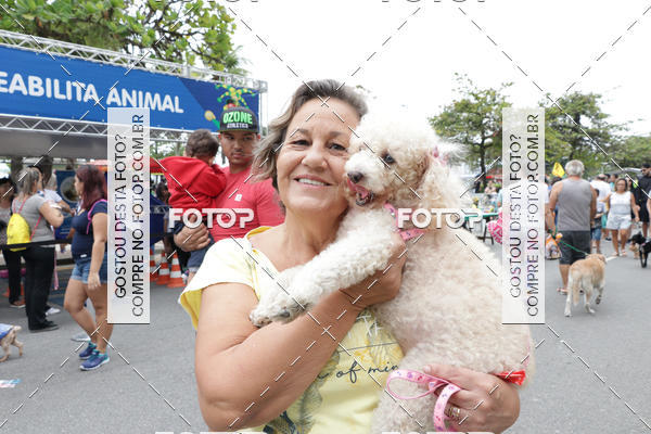 Buy your photos of the event13� C�ominhada - Santos on Fotop