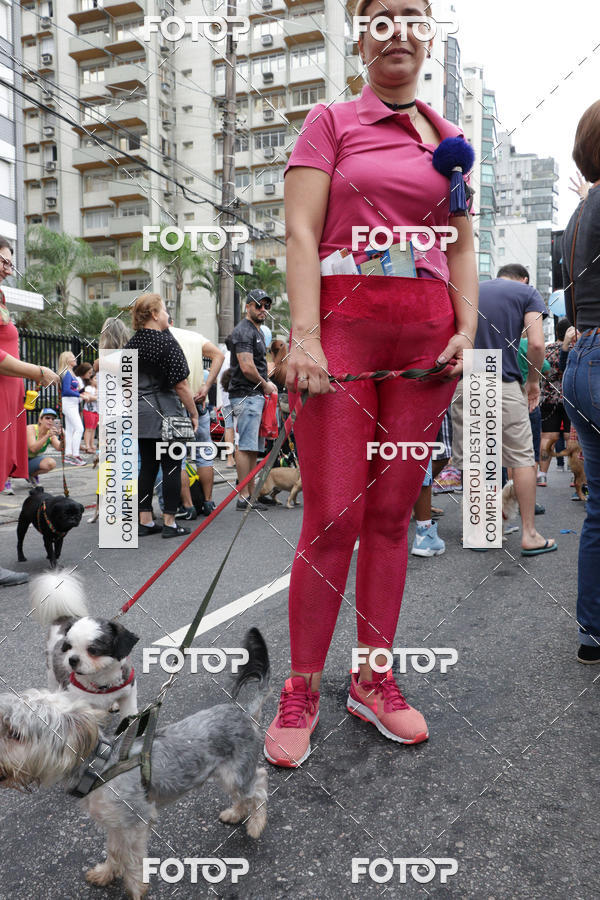 Buy your photos of the event13� C�ominhada - Santos on Fotop