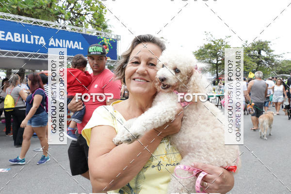 Buy your photos of the event13� C�ominhada - Santos on Fotop