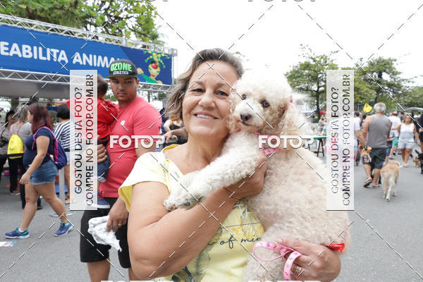 Buy your photos of the event13� C�ominhada - Santos on Fotop