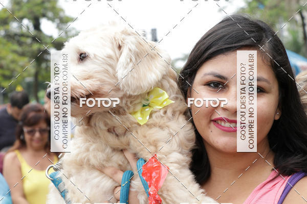 Buy your photos of the event13� C�ominhada - Santos on Fotop