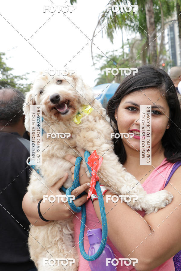 Buy your photos of the event13� C�ominhada - Santos on Fotop