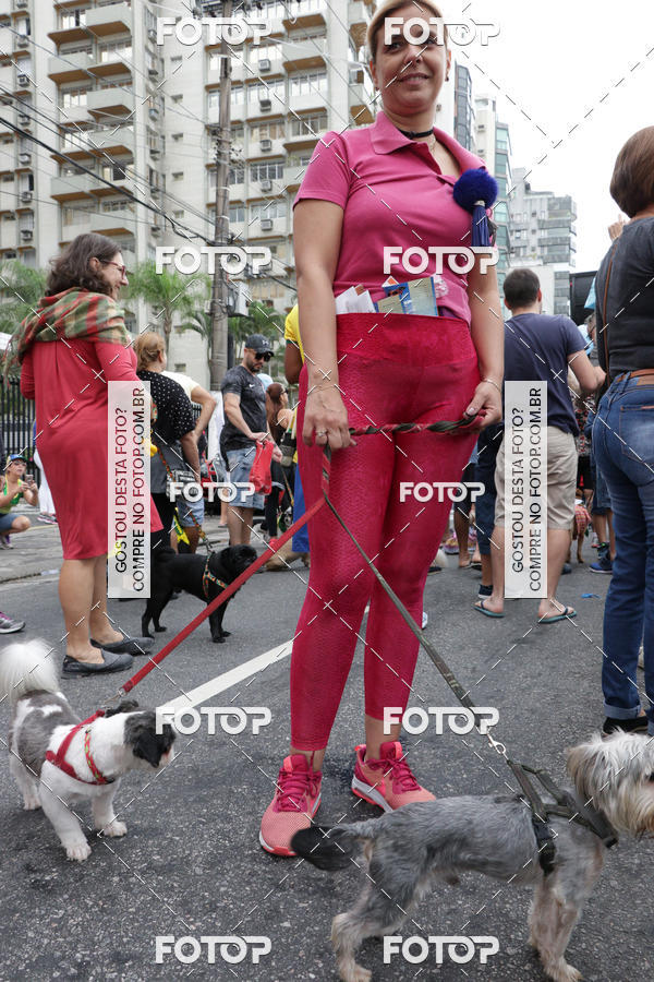Buy your photos of the event13� C�ominhada - Santos on Fotop