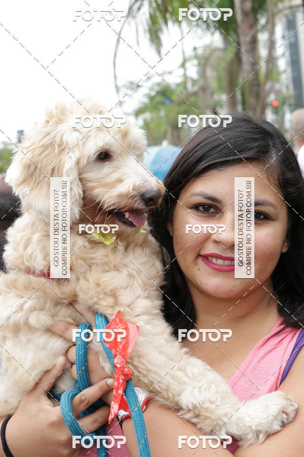 Buy your photos of the event13� C�ominhada - Santos on Fotop