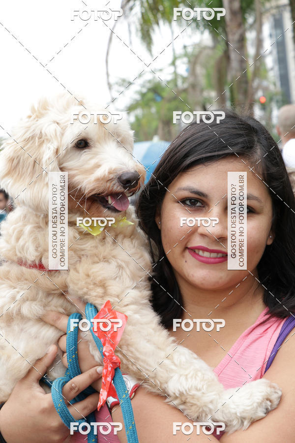 Buy your photos of the event13� C�ominhada - Santos on Fotop