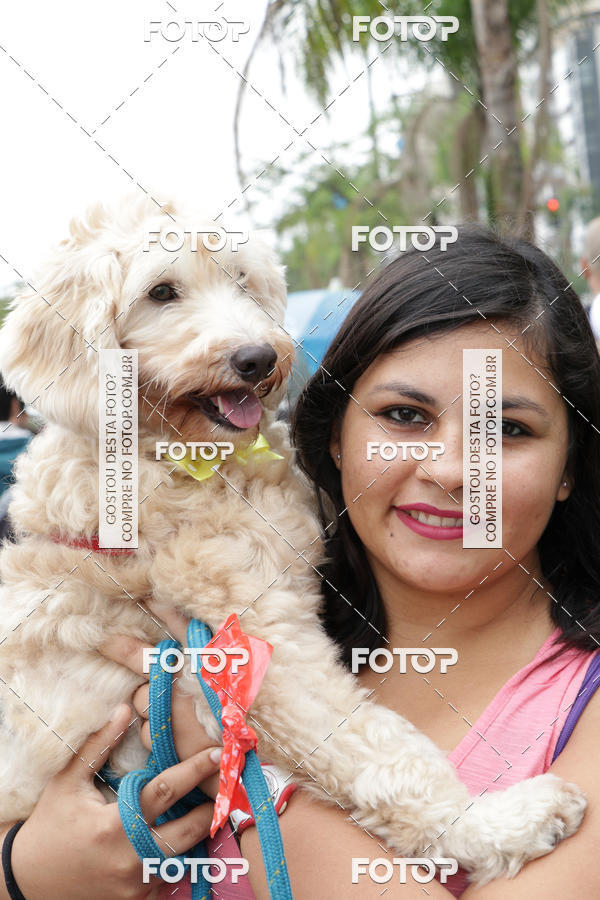 Buy your photos of the event13� C�ominhada - Santos on Fotop
