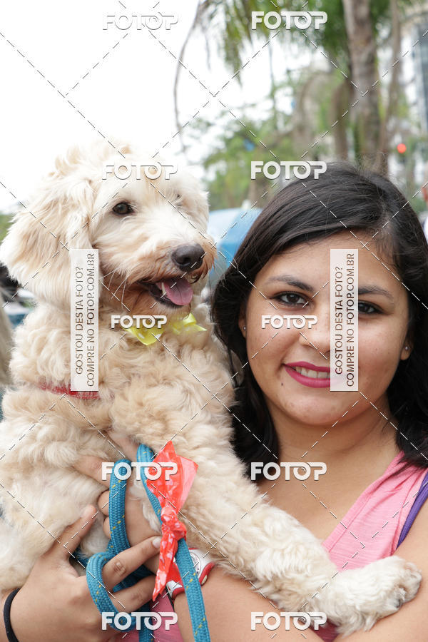 Buy your photos of the event13� C�ominhada - Santos on Fotop