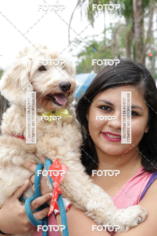 Buy your photos of the event13� C�ominhada - Santos on Fotop