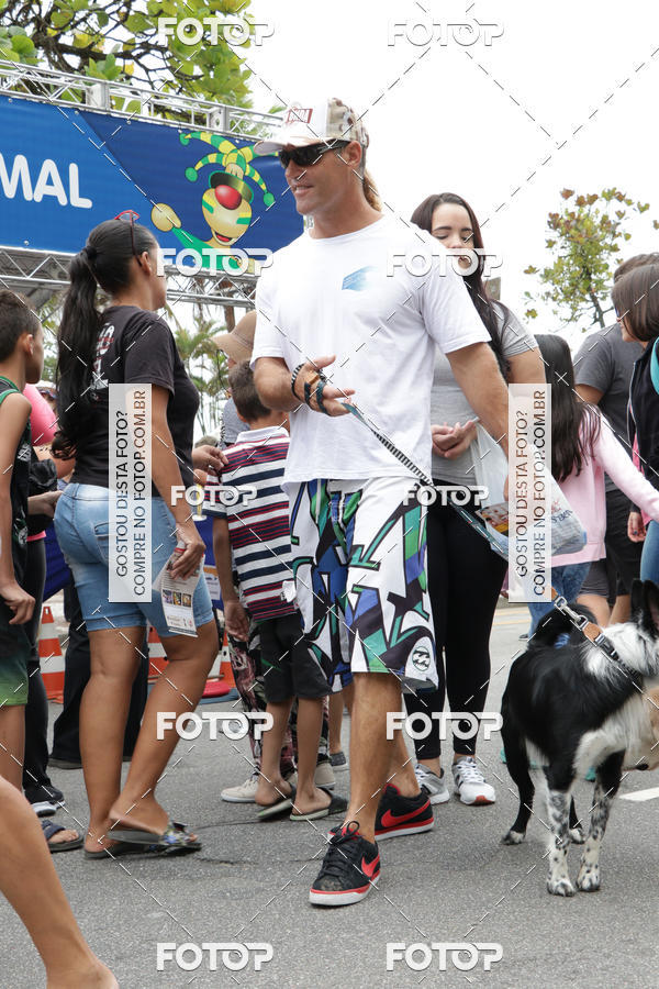 Buy your photos of the event13� C�ominhada - Santos on Fotop