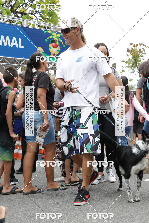 Buy your photos of the event13� C�ominhada - Santos on Fotop