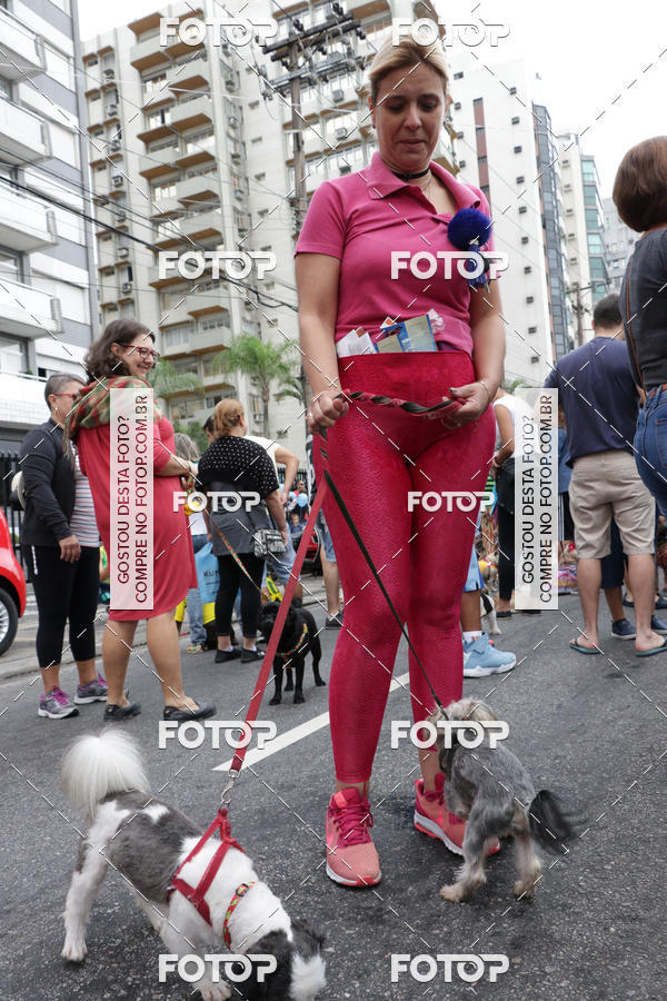Buy your photos of the event13� C�ominhada - Santos on Fotop
