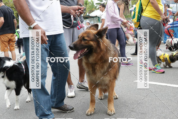 Buy your photos of the event13� C�ominhada - Santos on Fotop