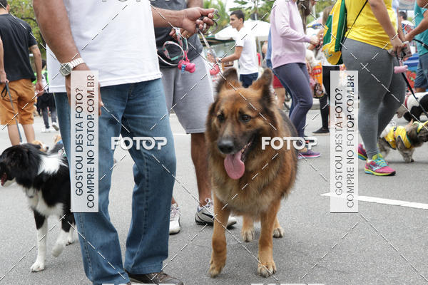 Buy your photos of the event13� C�ominhada - Santos on Fotop