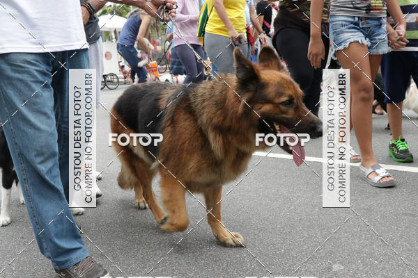 Buy your photos of the event13� C�ominhada - Santos on Fotop