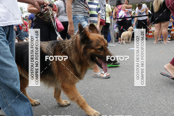 Buy your photos of the event13� C�ominhada - Santos on Fotop
