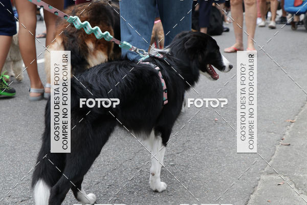 Buy your photos of the event13� C�ominhada - Santos on Fotop