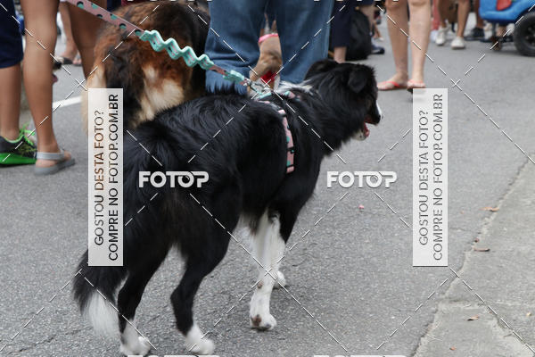 Buy your photos of the event13� C�ominhada - Santos on Fotop