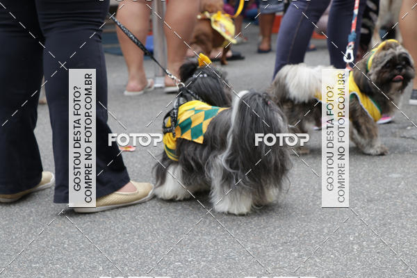 Buy your photos of the event13� C�ominhada - Santos on Fotop
