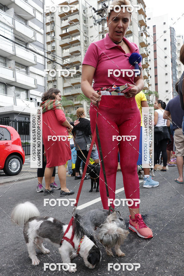 Buy your photos of the event13� C�ominhada - Santos on Fotop