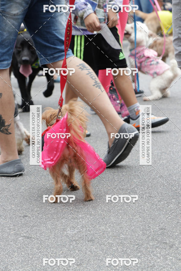 Buy your photos of the event13� C�ominhada - Santos on Fotop