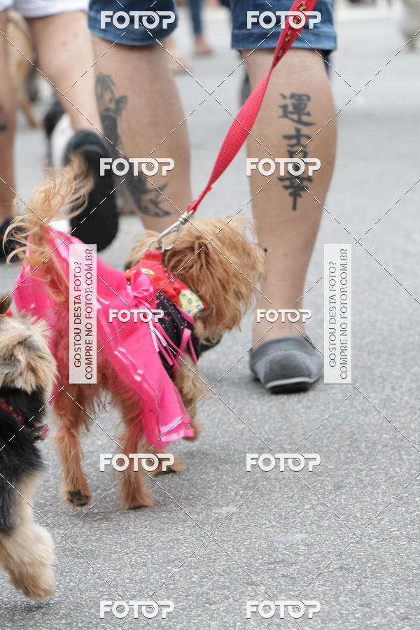 Buy your photos of the event13� C�ominhada - Santos on Fotop