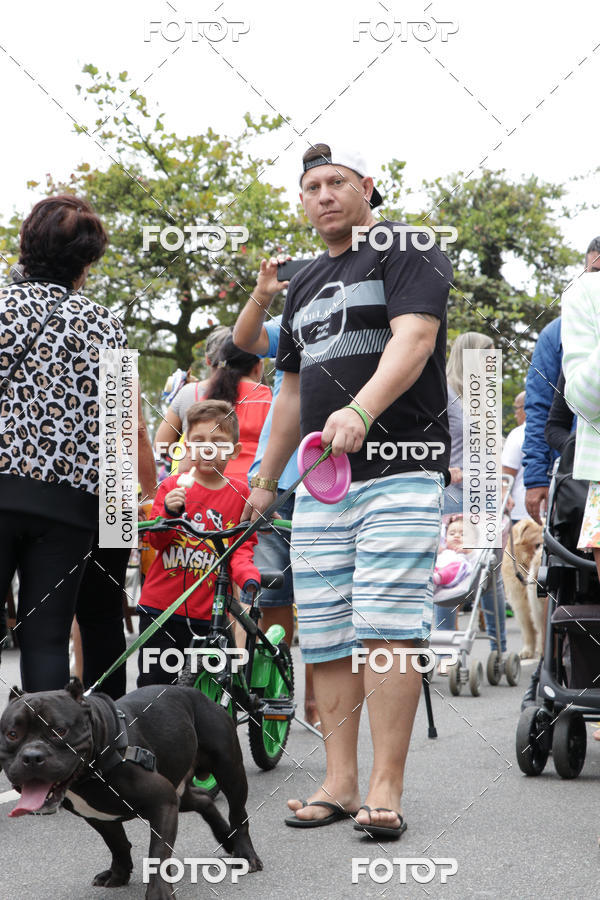 Buy your photos of the event13� C�ominhada - Santos on Fotop