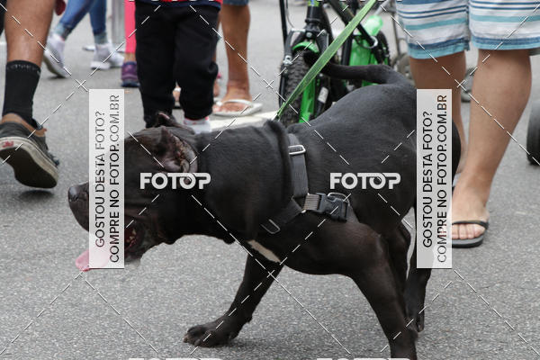 Buy your photos of the event13� C�ominhada - Santos on Fotop