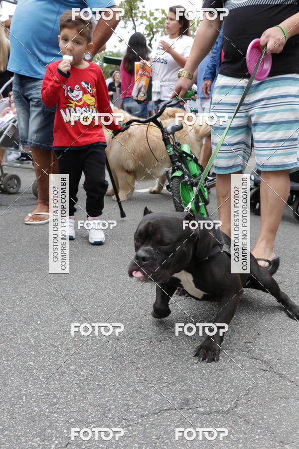 Buy your photos of the event13� C�ominhada - Santos on Fotop