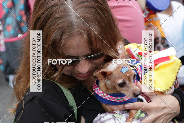 Buy your photos of the event13� C�ominhada - Santos on Fotop