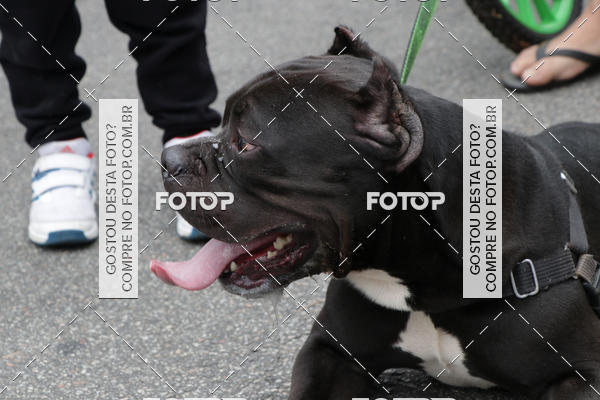 Buy your photos of the event13� C�ominhada - Santos on Fotop