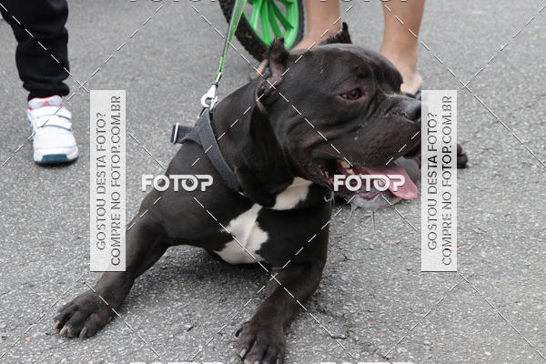 Buy your photos of the event13� C�ominhada - Santos on Fotop