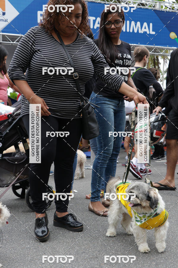 Buy your photos of the event13� C�ominhada - Santos on Fotop