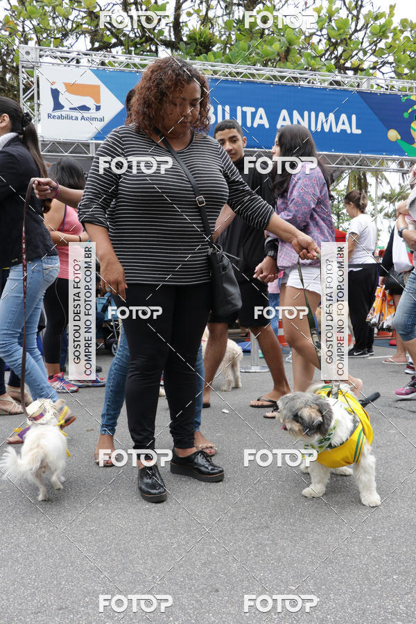 Buy your photos of the event13� C�ominhada - Santos on Fotop