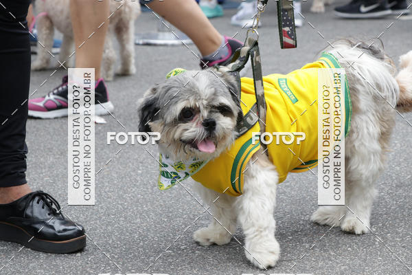 Buy your photos of the event13� C�ominhada - Santos on Fotop